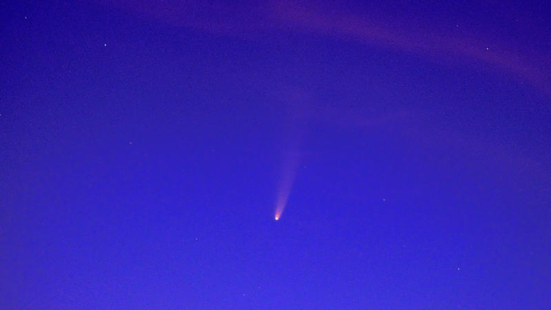 Cometa NEOWISE