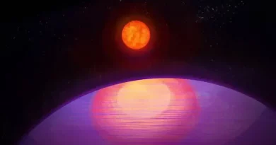 Insólito: Planeta gigante orbita un pequeño Sol